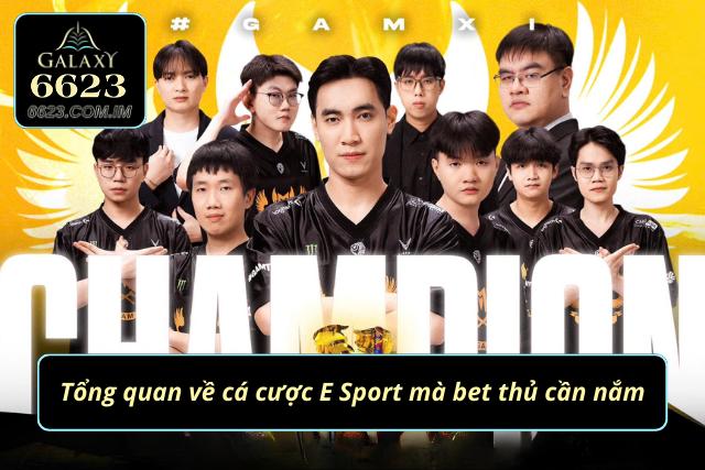 Đôi nét về hình thức cá cược thể thao điện tử mà anh em cần nắm