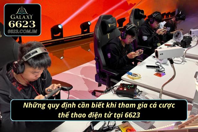Các quy định mà anh em cần nắm khi tham gia thể loại này