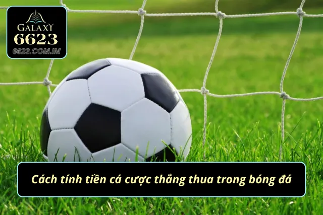 Nằm lòng cách tính tiền để nâng cao tỷ lệ thắng