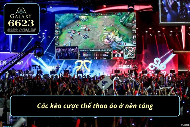 Nhiều loại kèo có mặt ở sảnh cược rất phong phú