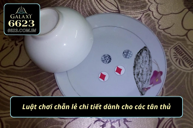 Quy tắc tham gia chẵn lẻ tỉ mỉ dành cho newbie